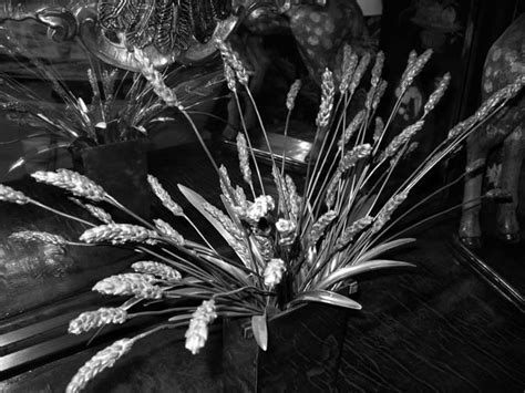 COCO CHANEL'S APARTMENT WHEAT, A SYMBOL OF 